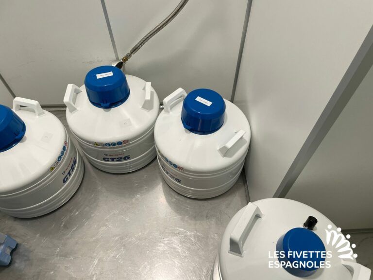 IVF Donostia (12)
