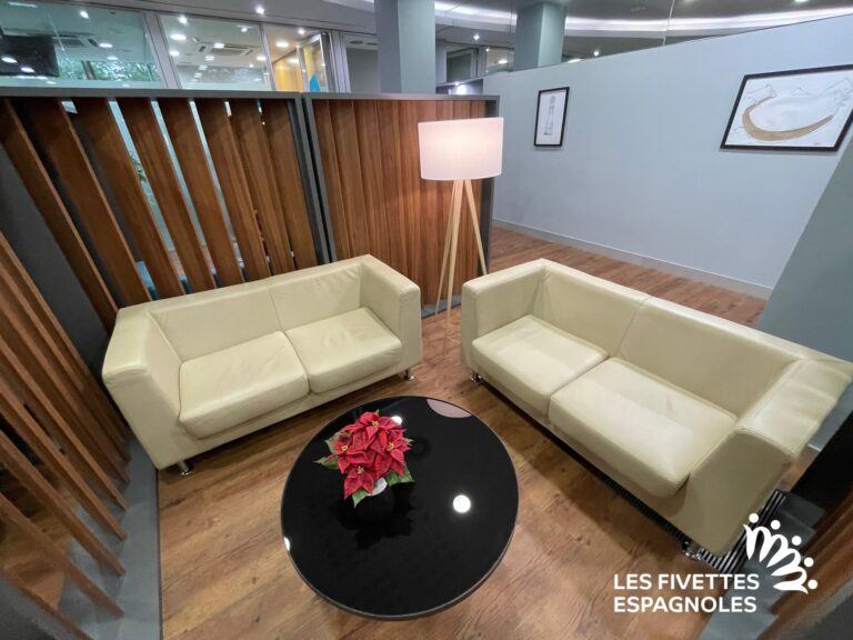 IVF Donostia (19)