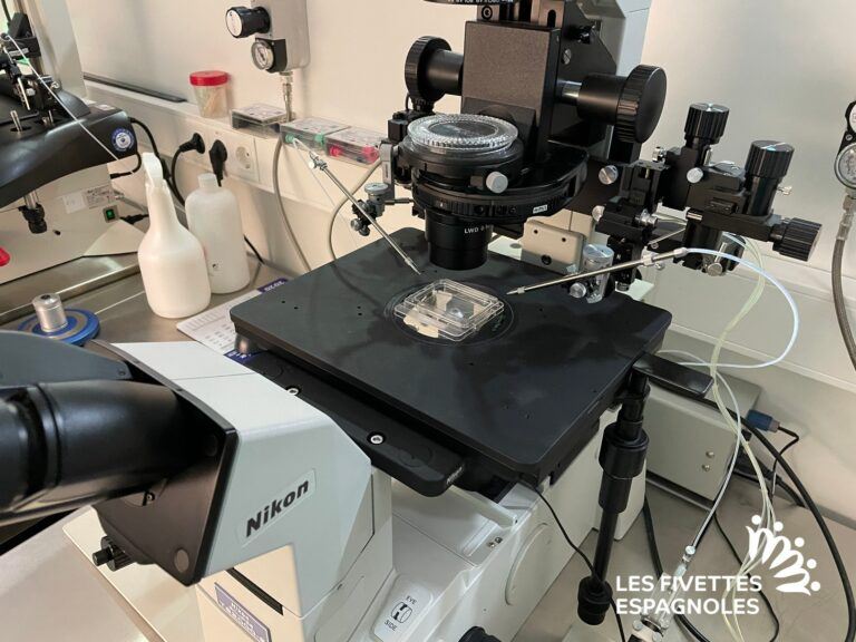 IVF Donostia (4)