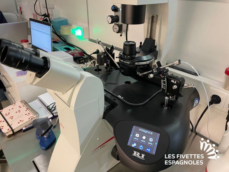 IVF Donostia (5)