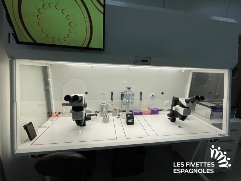 IVF Donostia (6)