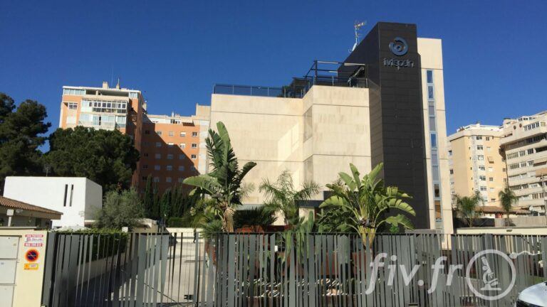 IVF Life Alicante (10)