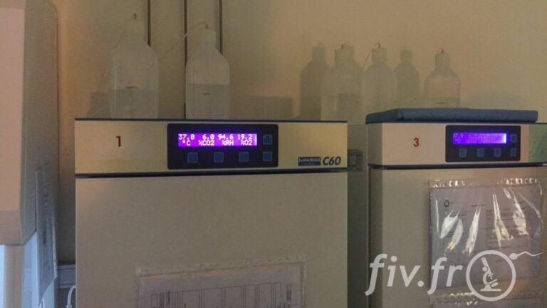IVF Life Alicante (11)