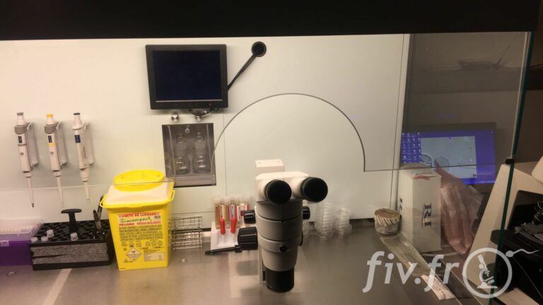 IVF Life Alicante (15)