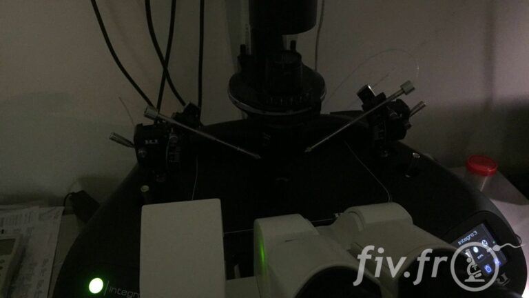 IVF Life Alicante (16)