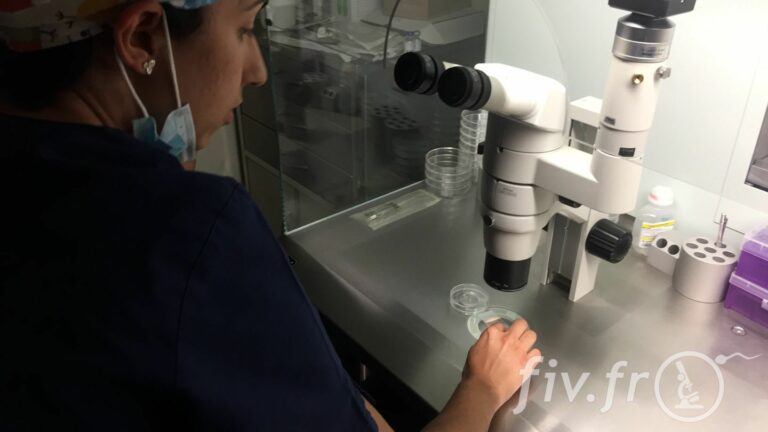 IVF Life Alicante (19)