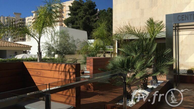 IVF Life Alicante (9)