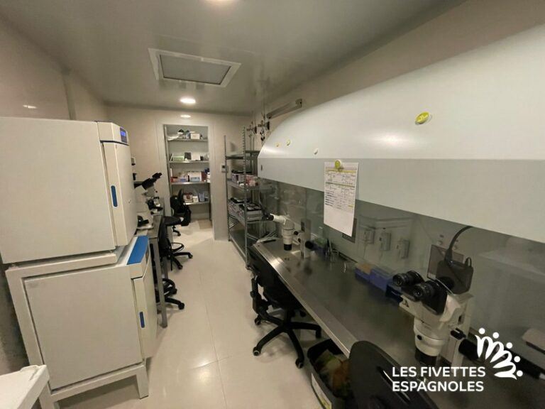 IVF Life Madrid (22)