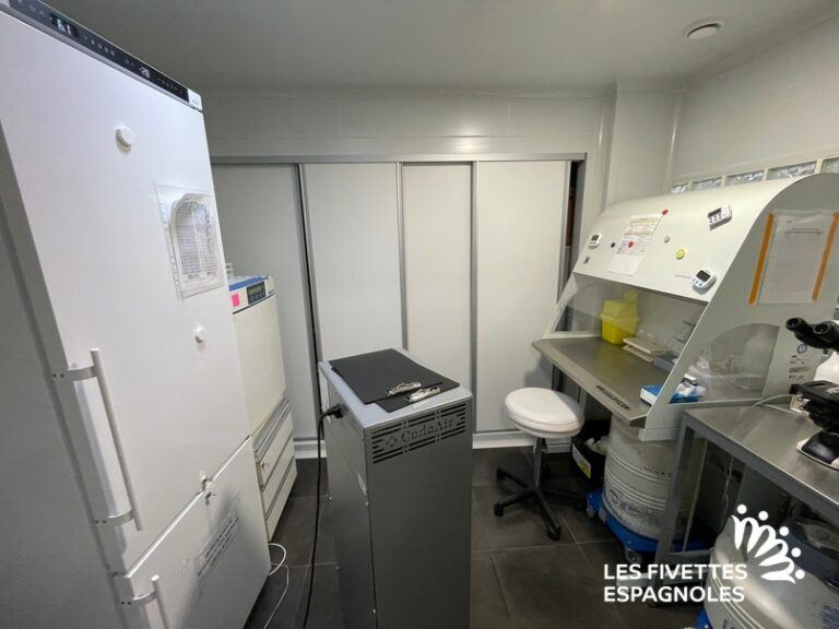 IVF Life Madrid (25)