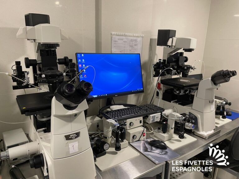 IVF Life Madrid (3)