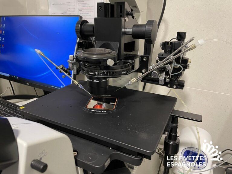 IVF Life Madrid (5)